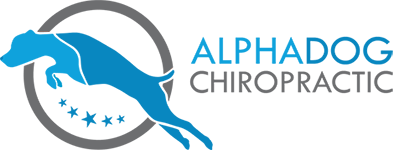 AlphaChiro_logo_150px