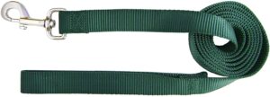 Hamilton 6ft Nylon Leash - Image 2