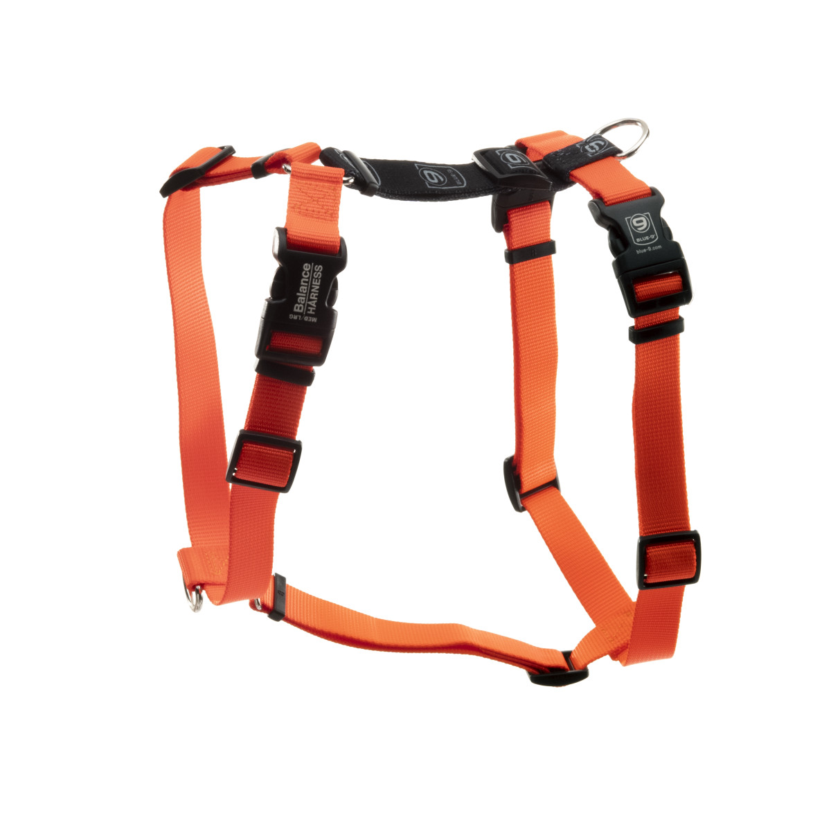 gennemse på Inhibere Balance Harness® Buckle-Neck – All About Dogs