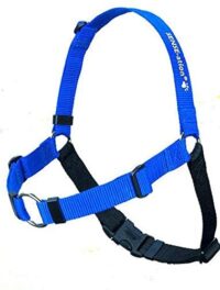 Sensation Harness