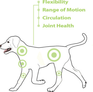 CanineGym® Gear K9FITbed™ - Image 3