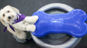 FitPAWS® Circular Product Holder - Image 2