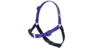 Sensation Harness - Image 2